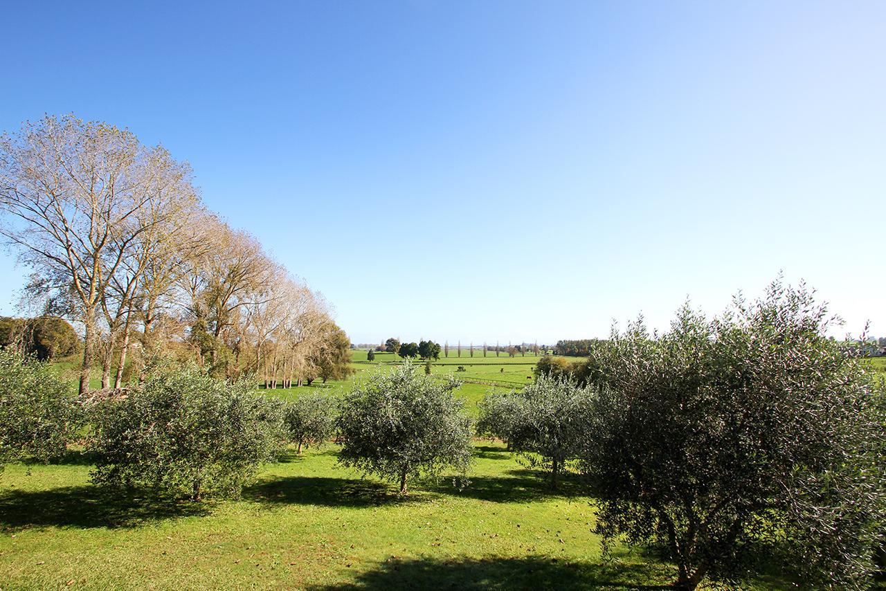 Bed and Breakfast Ohaupo Olives Exteriér fotografie